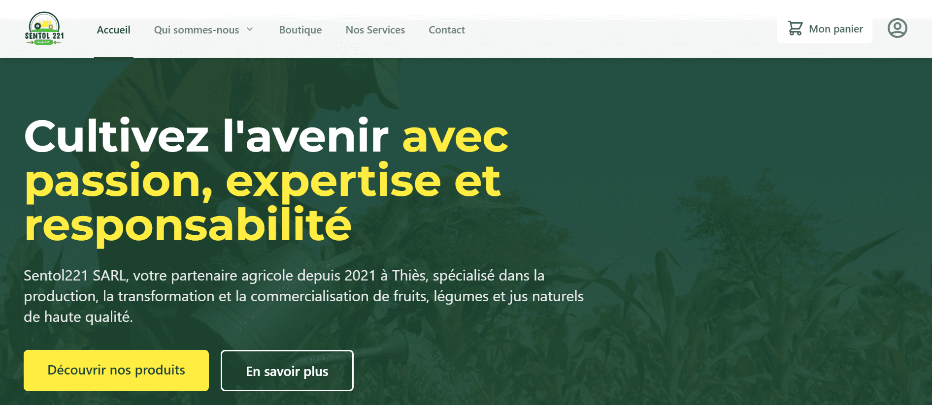 Screenshot 1 of project Sentol221